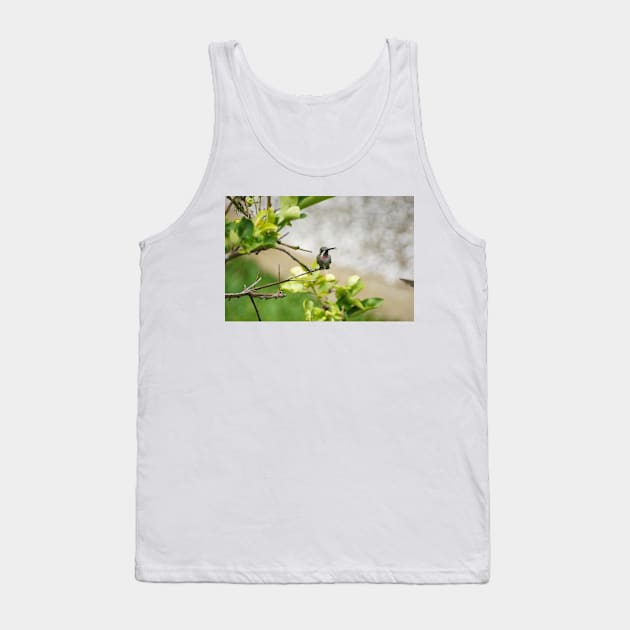 slb hummingbird Tank Top by pcfyi